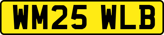 WM25WLB