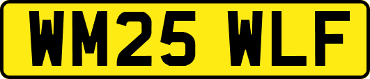 WM25WLF