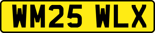 WM25WLX