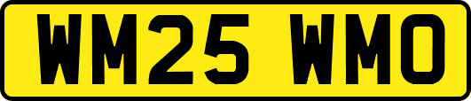 WM25WMO