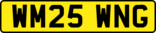 WM25WNG