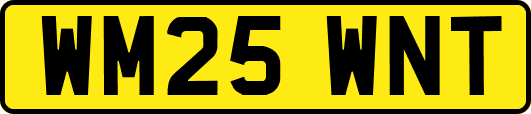 WM25WNT