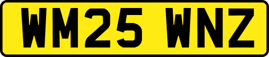 WM25WNZ