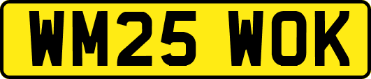 WM25WOK