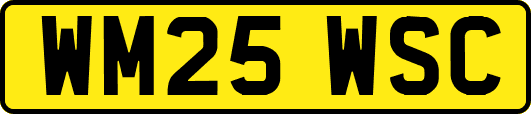 WM25WSC