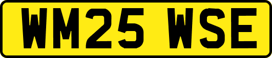 WM25WSE