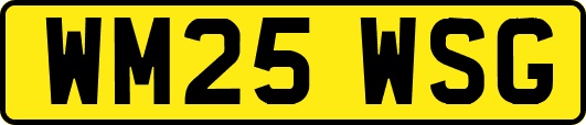 WM25WSG
