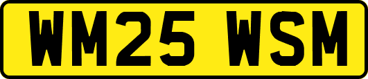 WM25WSM