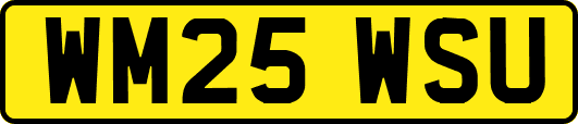 WM25WSU