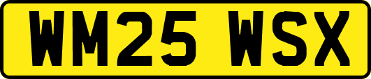 WM25WSX