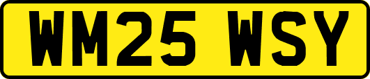 WM25WSY