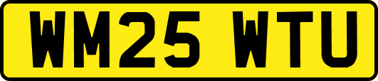 WM25WTU