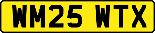 WM25WTX