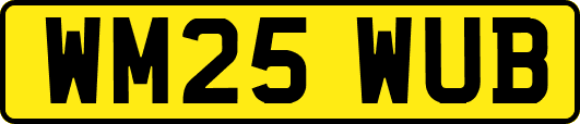 WM25WUB