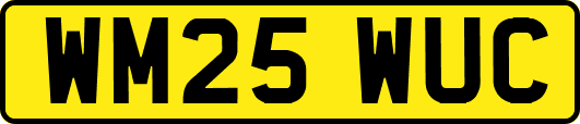 WM25WUC