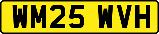 WM25WVH