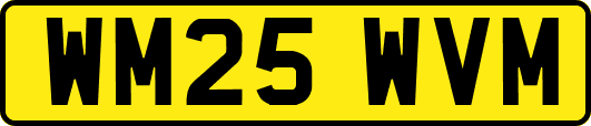 WM25WVM