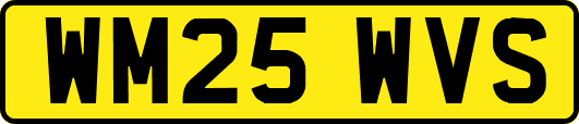 WM25WVS