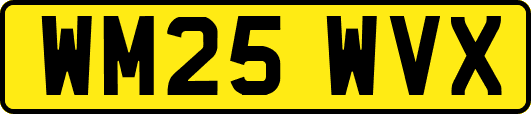 WM25WVX