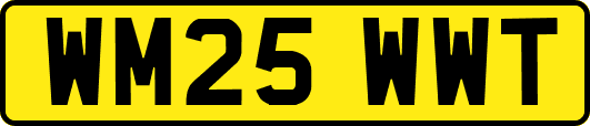 WM25WWT