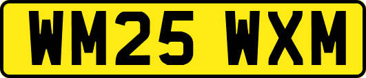 WM25WXM