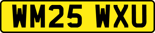 WM25WXU
