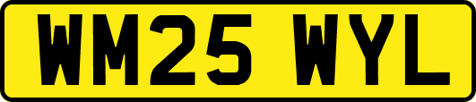 WM25WYL