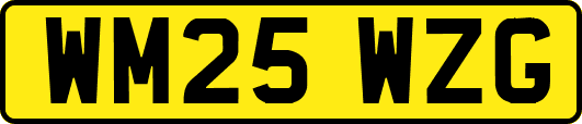 WM25WZG