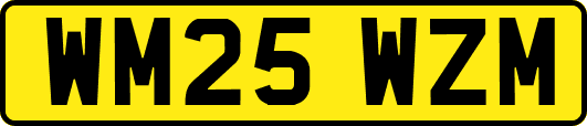 WM25WZM