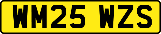 WM25WZS