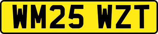 WM25WZT