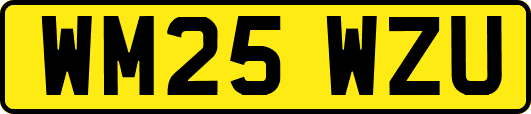 WM25WZU