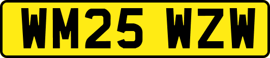 WM25WZW