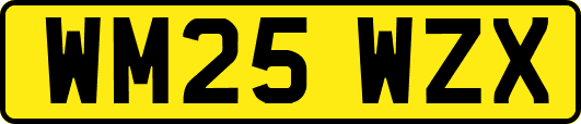 WM25WZX