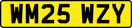 WM25WZY