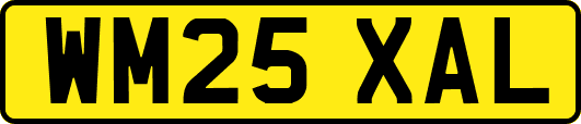 WM25XAL