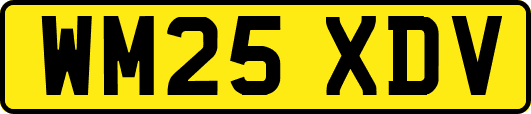 WM25XDV