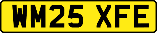 WM25XFE