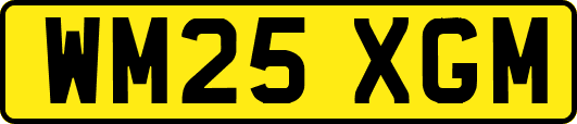 WM25XGM