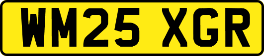 WM25XGR