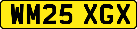 WM25XGX