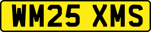 WM25XMS