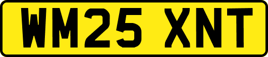 WM25XNT