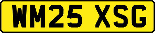 WM25XSG