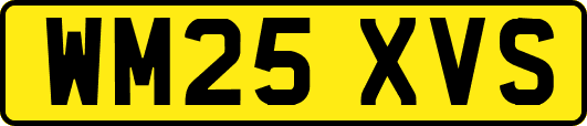 WM25XVS
