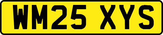 WM25XYS