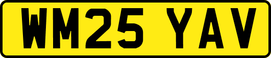 WM25YAV
