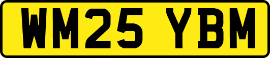 WM25YBM