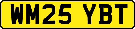 WM25YBT