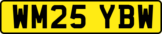 WM25YBW